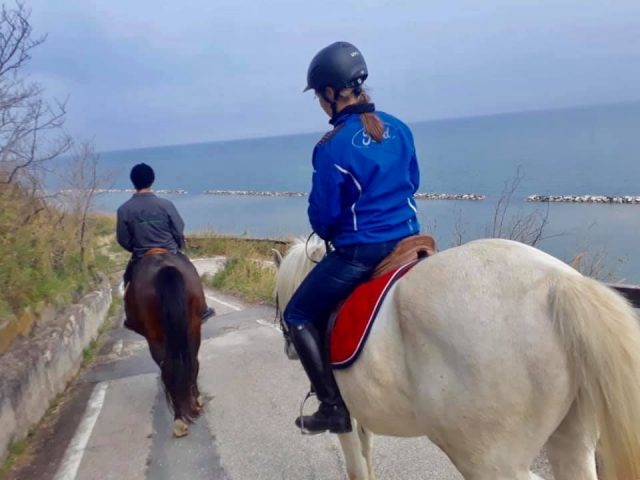  Galopando hacia la playa 