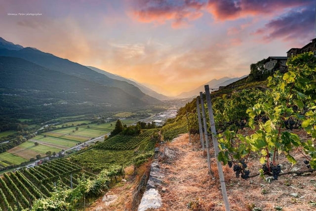  Weinberge des Veltlins 