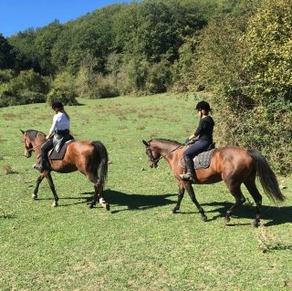 Horseback riding tour in the Sacrofano Woods 2H