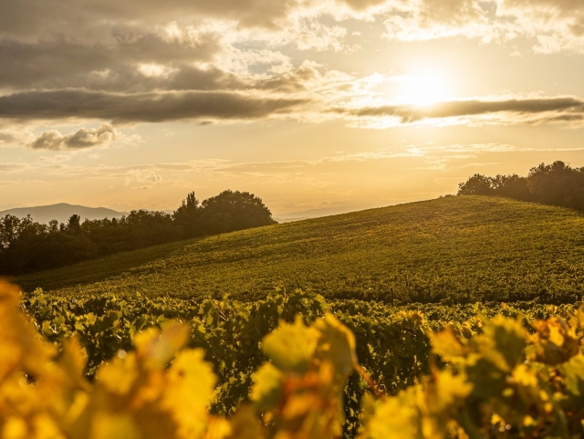  Herrliche toskanische Landschaft 