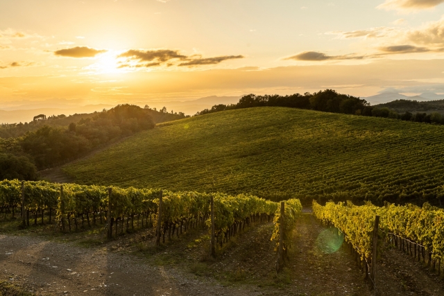  Sonnenuntergänge auf dem Weingut Corte Pavone 
