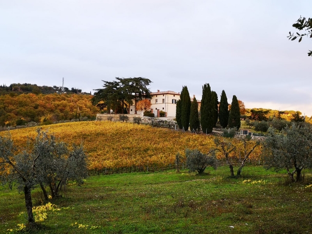  Notre domaine à Sienne 