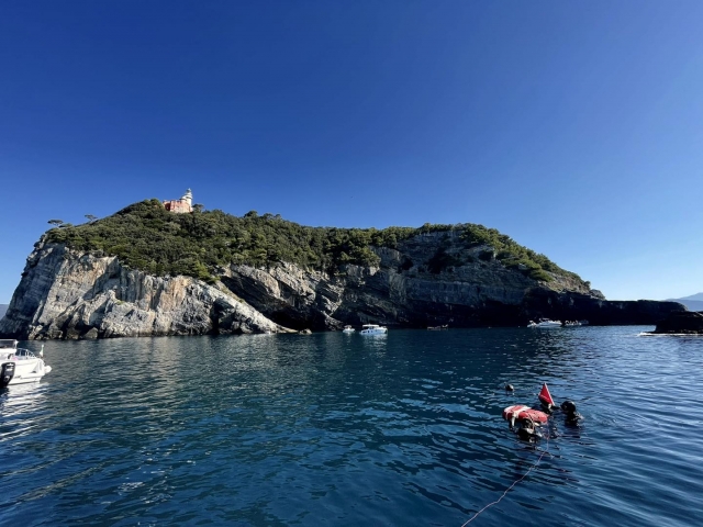 999999- Ligurian marina fauna