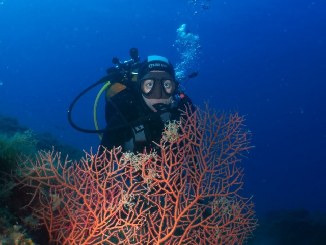  Fonds marins 