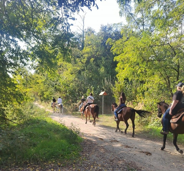  Promenade à cheval dans les bois 