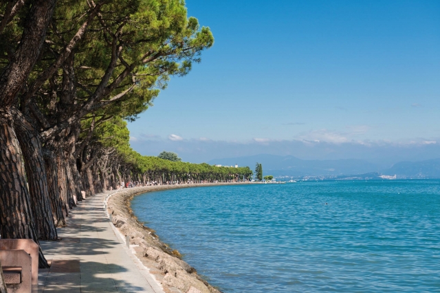  The coasts of Peshciera del Garda 