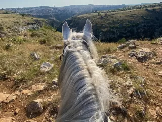 Horse Tour Beginners Murgia Materana Park 1H