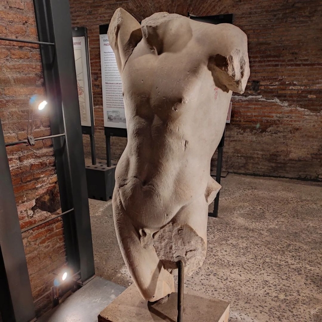  Medio busto 