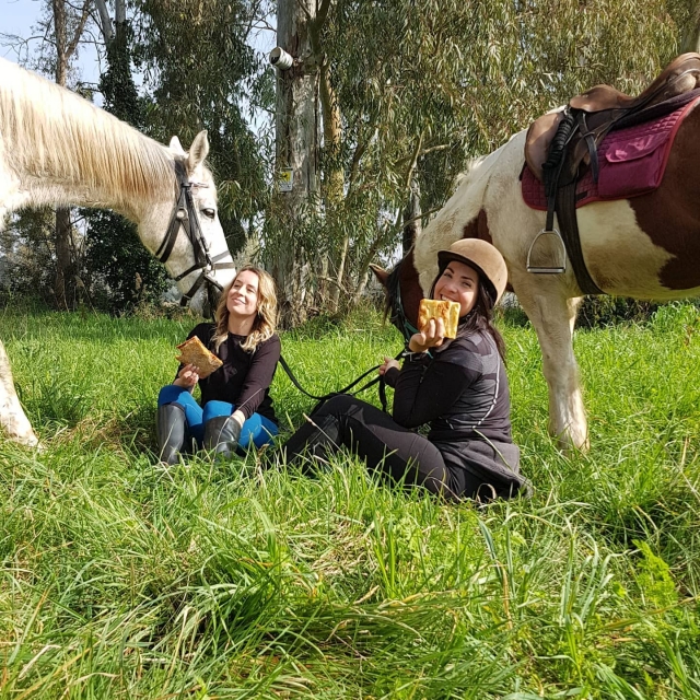  Picknick mit Pferden 