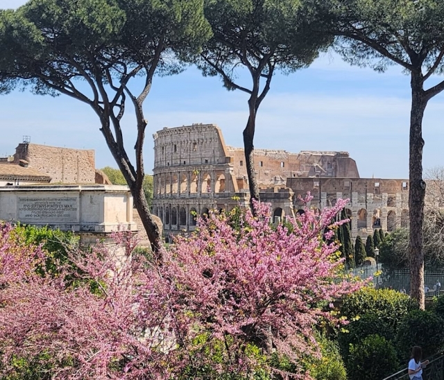  Panorama del Coliseo 