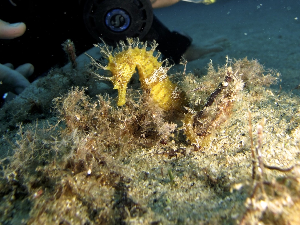  Einzigartige Begegnungen 