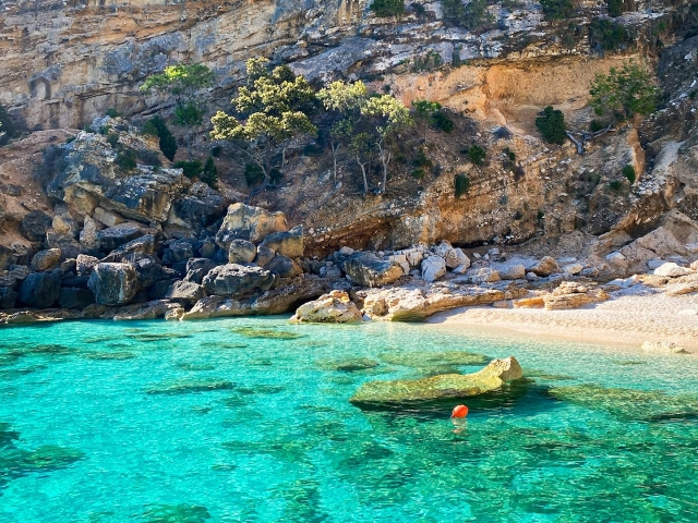  Explore la costa en barco 
