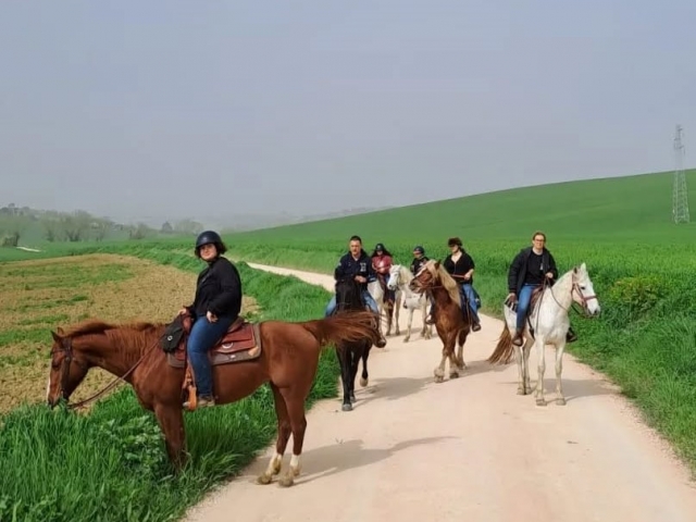 Passeggiata a cavallo nel verde di Narni 1