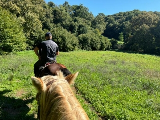 Horse marche dans le vert narni 1h + apéritif