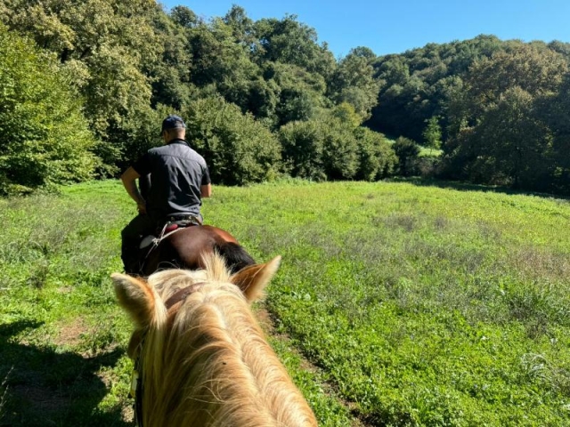 Passeggiata cavallo nel verde Narni 1h + aperitivo