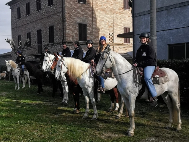 Passeggiata cavallo