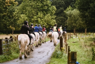 Équitation dans la campagne d'Olgiate Comasco 1h
