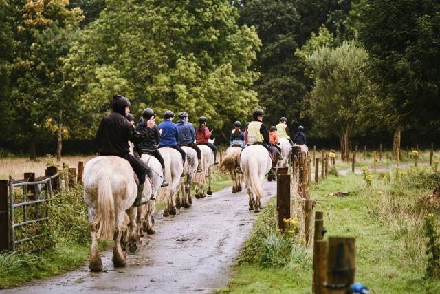 Équitation dans la campagne d'Olgiate Comasco 1h