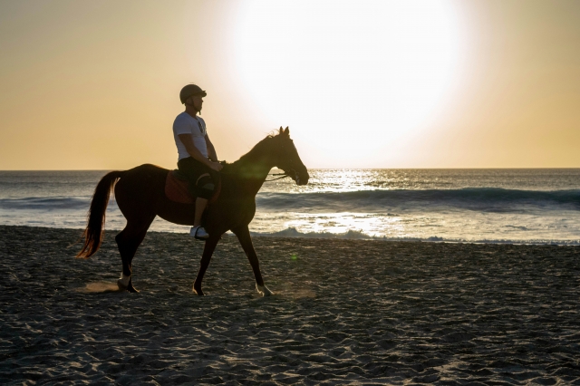 Paseo a caballo por la playa de Versilia 1 día Paseo a caballo por la playa de Versilia 1 día