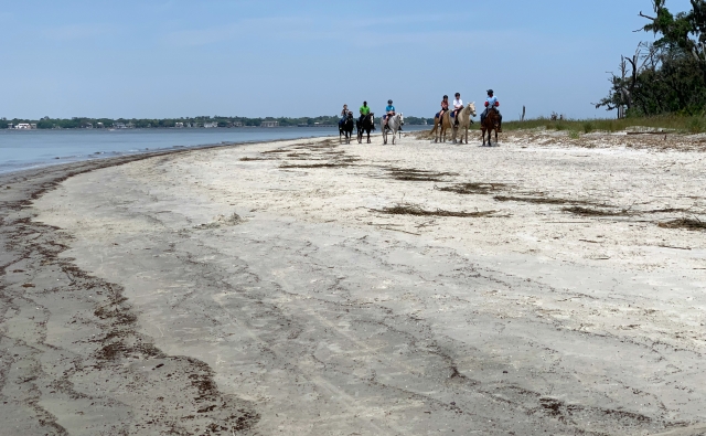  Paseos a caballo por la playa de Versilia 