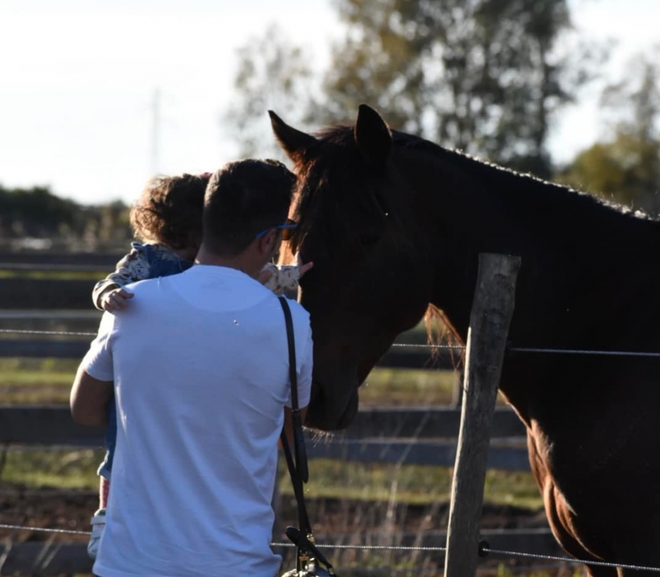 Amistades especiales 