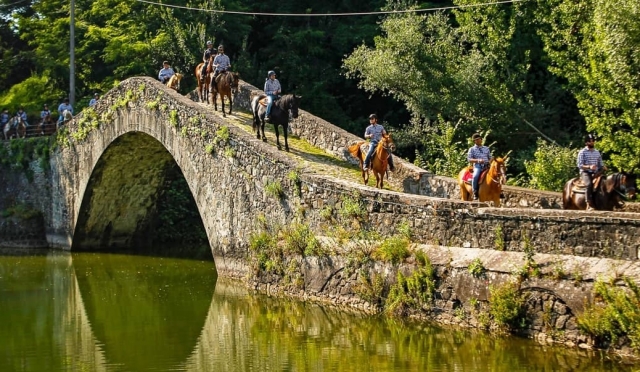 Passeggiata cavallo 1h boschi della Garfagnana