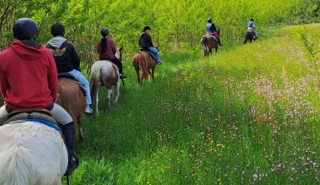Passeggiata nel verde della Garfagnana