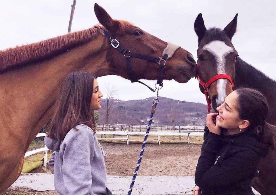 I nostri esemplari I nostri esemplari