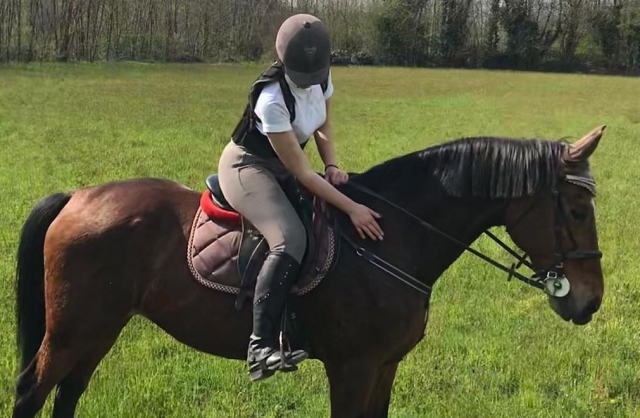 Uno dei nostri cavalli