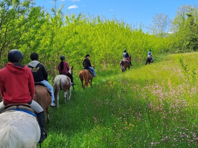 Passeggiata a cavallo