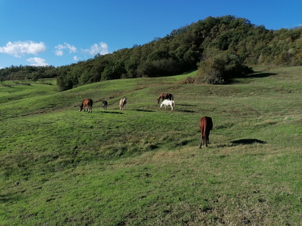 我们的标本 我们的标本