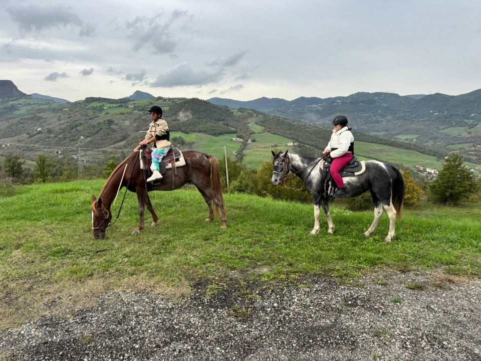 一起郊游 一起郊游