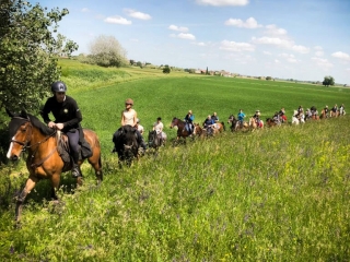 Reiten Adda River Park 1h
