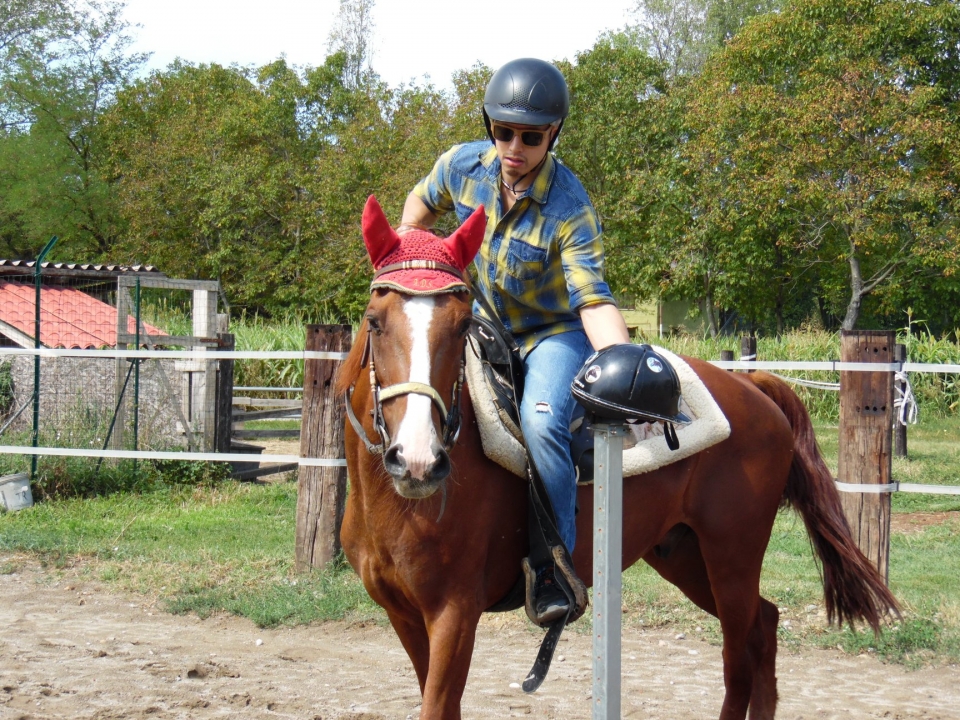  Eines unserer Exemplare 