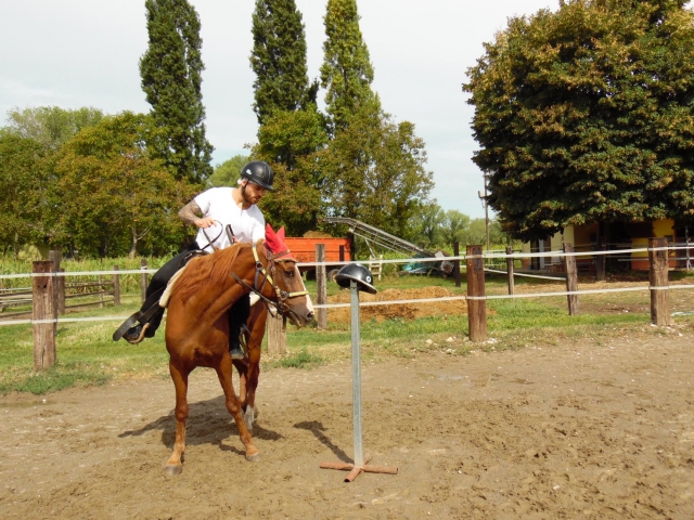 Während des Unterrichts 