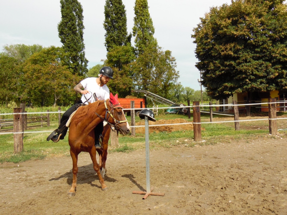 Während des Unterrichts 