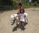 Balades en Poney Sicile