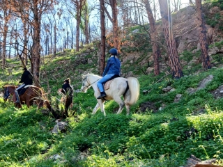 Nature horseback tour in Sferracavallo + 1h aperitif
