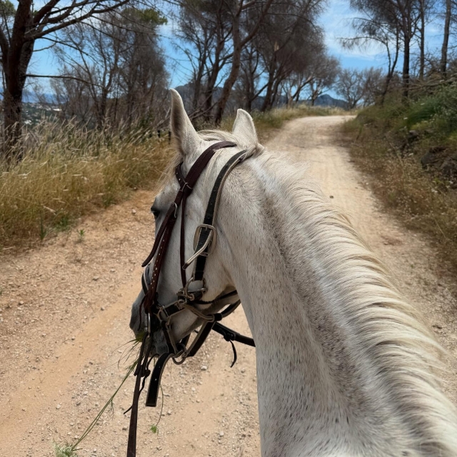 Uno dei nostri esemplari