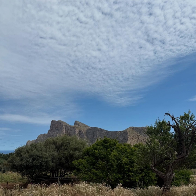 La natura palermitana