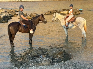 Horseback ride on Capo Gallo Reserve beach 1h