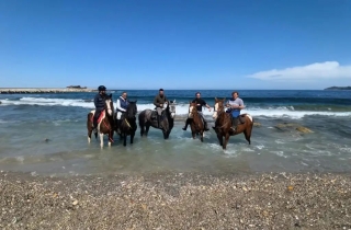 Passeggia a cavallo spiaggia Riserva Capo Gallo 1h