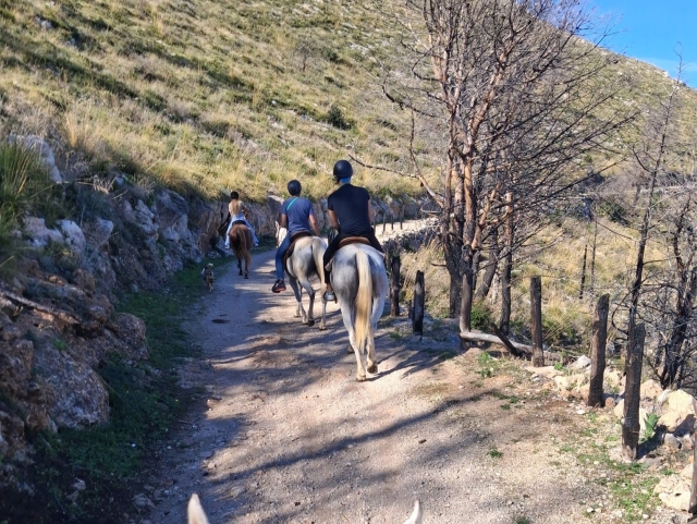 Tour a cavallo per Pizzo Manolfo