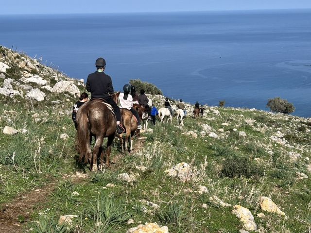 Esperienza equestre a Sferacavallo