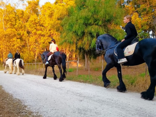  passeios a cavalo entre as cores da reserva natural 
