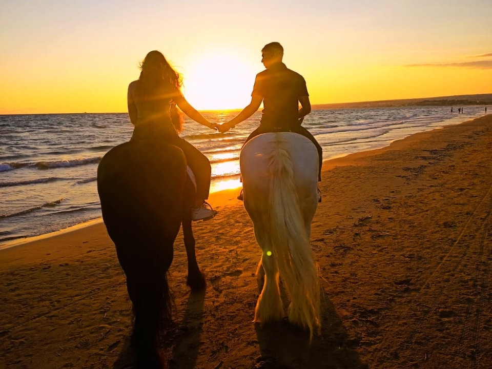 passeios a cavalo na praia 
