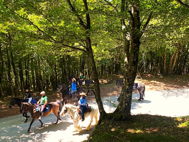 Passeggiata a Cavallo Lago Maulazzo + aperitivo 4H