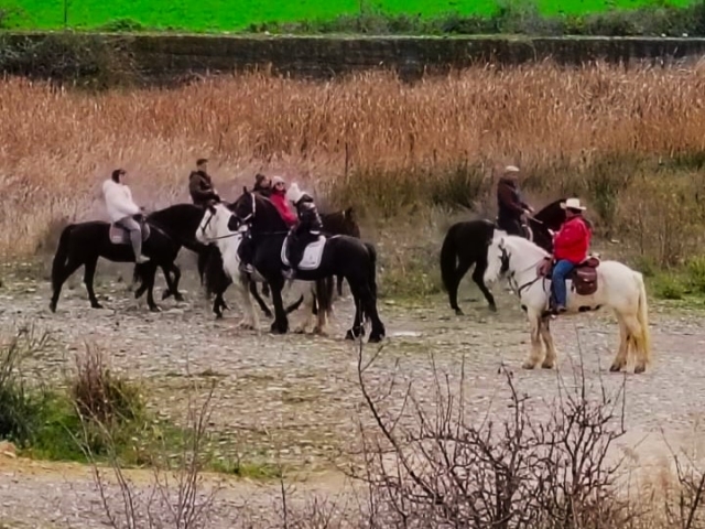 Fiume Troina passeggiata a cavallo