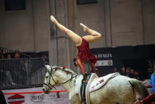 Voltigierunterricht für Pferde in Genua, Dauer 2 Stunden