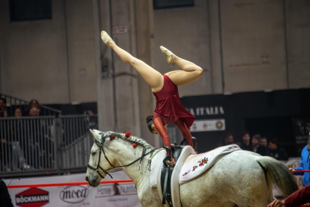 Voltigierunterricht für Pferde in Genua, Dauer 2 Stunden